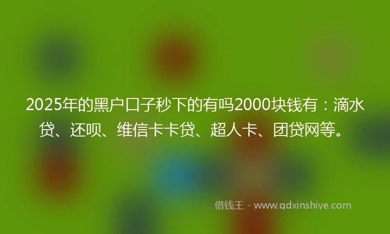 2025年的黑户口子秒下的有吗2000块钱有：滴水贷、还呗、维信卡卡贷、超人卡、团贷网等。
