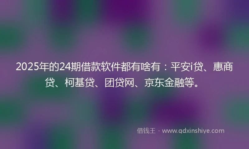 2025年的24期借款软件都有啥有：平安i贷、惠商贷、柯基贷、团贷网、京东金融等。