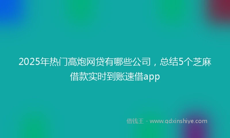 2025年热门高炮网贷有哪些公司，总结5个芝麻借款实时到账速借app