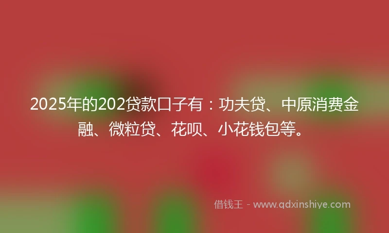 2025年的202贷款口子有：功夫贷、中原消费金融、微粒贷、花呗、小花钱包等。