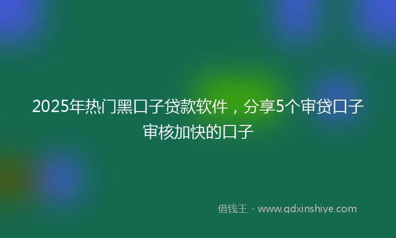 2025年热门黑口子贷款软件，分享5个审贷口子审核加快的口子