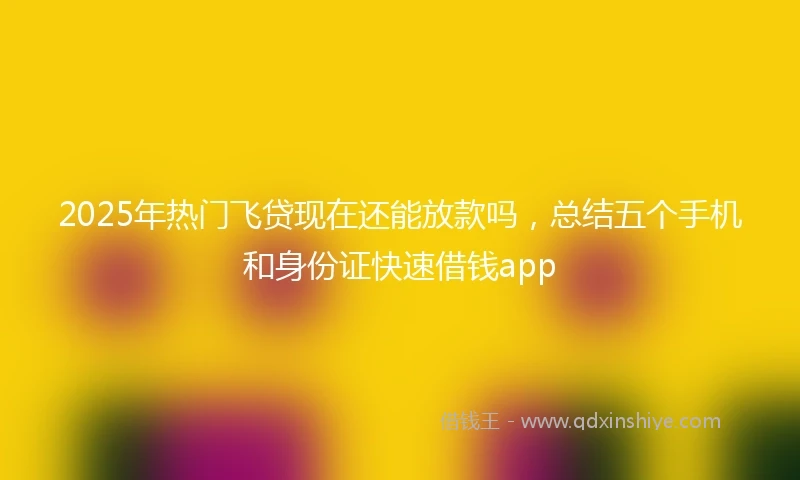 2025年热门飞贷现在还能放款吗，总结五个手机和身份证快速借钱app