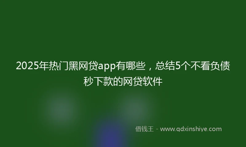 2025年热门黑网贷app有哪些，总结5个不看负债秒下款的网贷软件