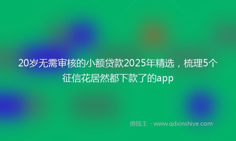20岁无需审核的小额贷款2025年精选，梳理5个征信花居然都下款了的app