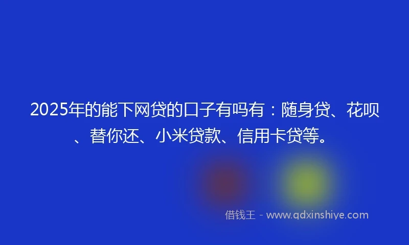 2025年的能下网贷的口子有吗有：随身贷、花呗、替你还、小米贷款、信用卡贷等。