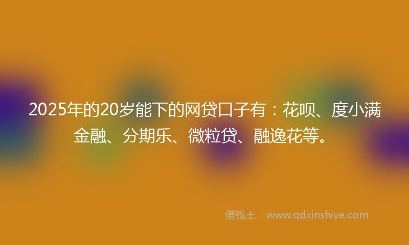2025年的20岁能下的网贷口子有：花呗、度小满金融、分期乐、微粒贷、融逸花等。