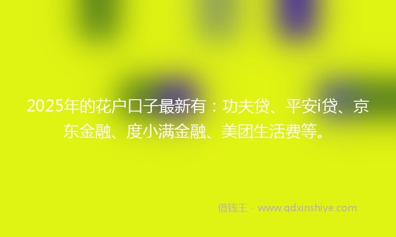 2025年的花户口子最新有：功夫贷、平安i贷、京东金融、度小满金融、美团生活费等。