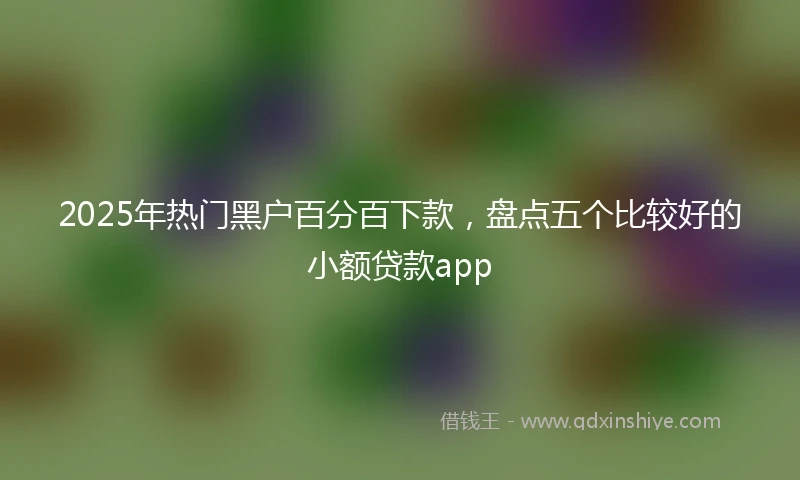 2025年热门黑户百分百下款，盘点五个比较好的小额贷款app