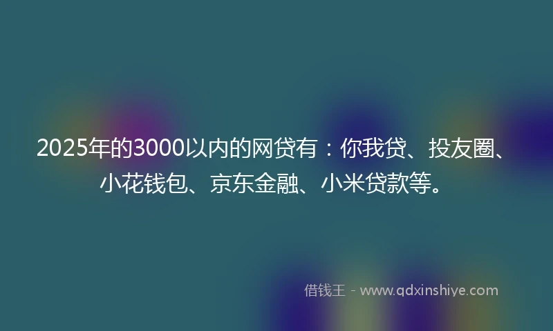 2025年的3000以内的网贷有：你我贷、投友圈、小花钱包、京东金融、小米贷款等。