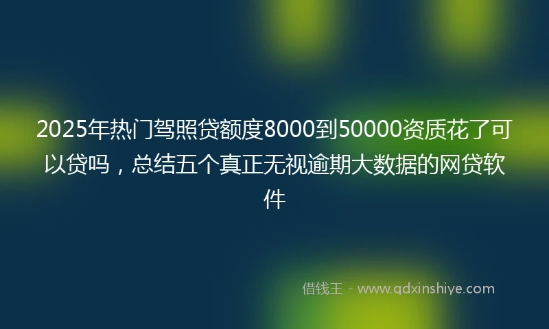 2025年热门驾照贷额度8000到50000资质花了可以贷吗，总结五个真正无视逾期大数据的网贷软件