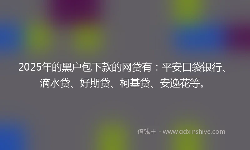 2025年的黑户包下款的网贷有：平安口袋银行、滴水贷、好期贷、柯基贷、安逸花等。