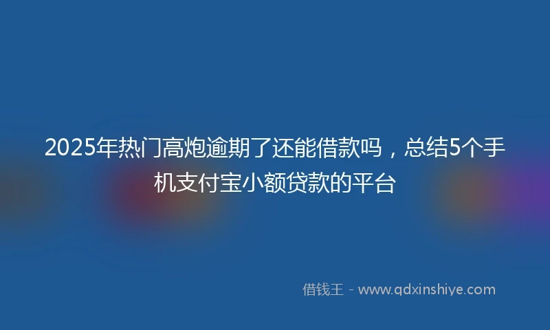 2025年热门高炮逾期了还能借款吗，总结5个手机支付宝小额贷款的平台