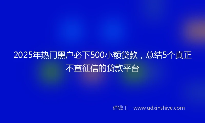 2025年热门黑户必下500小额贷款，总结5个真正不查征信的贷款平台