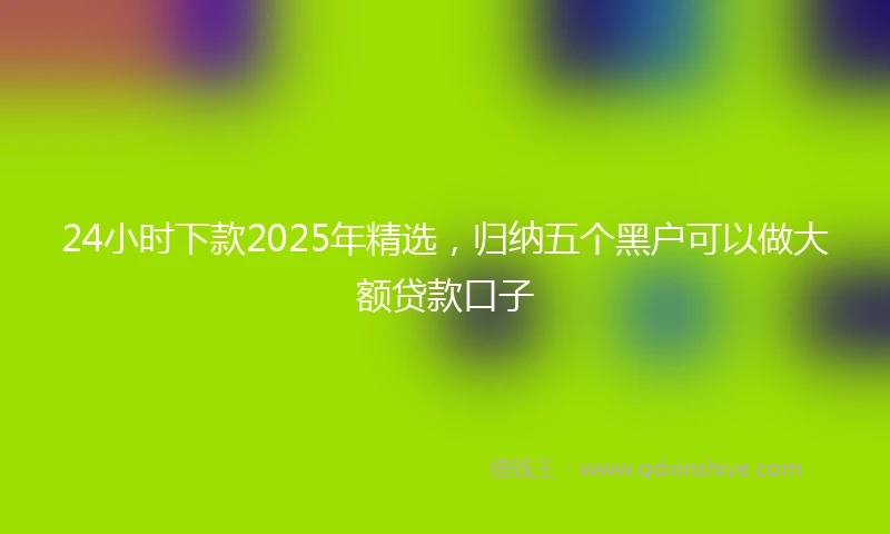 24小时下款2025年精选，归纳五个黑户可以做大额贷款口子