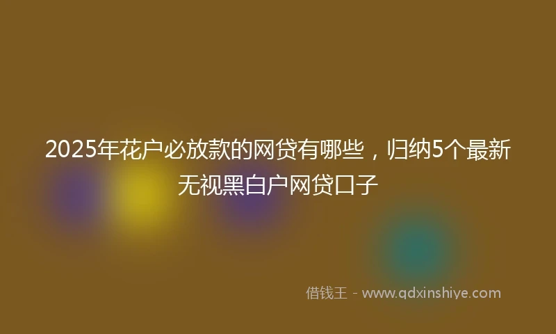 2025年花户必放款的网贷有哪些，归纳5个最新无视黑白户网贷口子