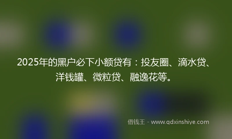 2025年的黑户必下小额贷有：投友圈、滴水贷、洋钱罐、微粒贷、融逸花等。