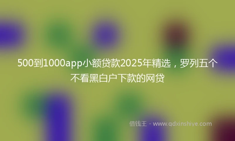 500到1000app小额贷款2025年精选，罗列五个不看黑白户下款的网贷
