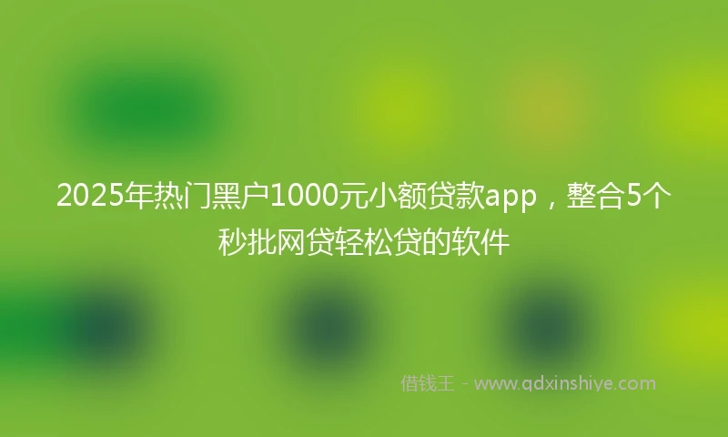 2025年热门黑户1000元小额贷款app，整合5个秒批网贷轻松贷的软件