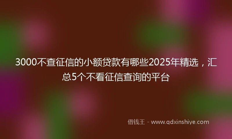 3000不查征信的小额贷款有哪些2025年精选，汇总5个不看征信查询的平台