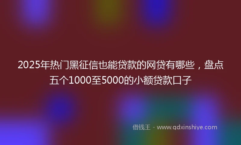 2025年热门黑征信也能贷款的网贷有哪些，盘点五个1000至5000的小额贷款口子