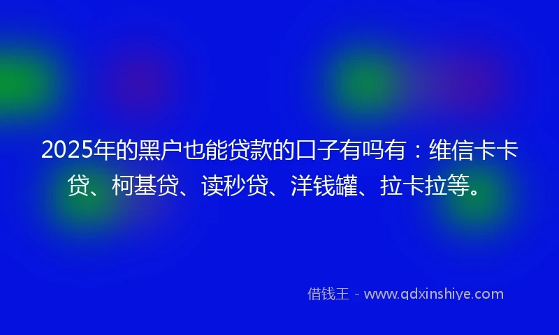2025年的黑户也能贷款的口子有吗有：维信卡卡贷、柯基贷、读秒贷、洋钱罐、拉卡拉等。