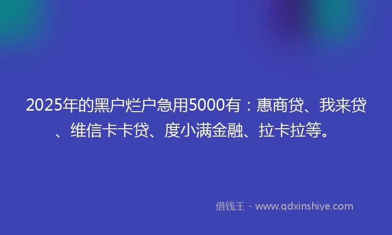 2025年的黑户烂户急用5000有：惠商贷、我来贷、维信卡卡贷、度小满金融、拉卡拉等。