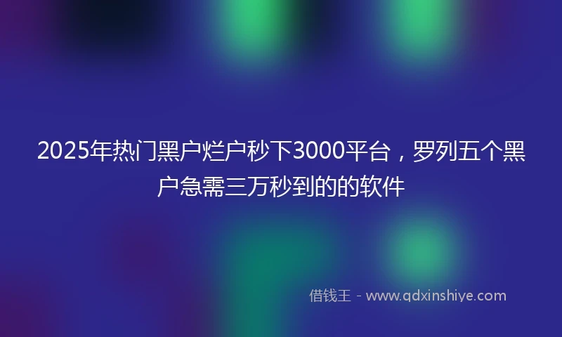 2025年热门黑户烂户秒下3000平台，罗列五个黑户急需三万秒到的的软件