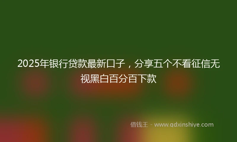 2025年银行贷款最新口子，分享五个不看征信无视黑白百分百下款