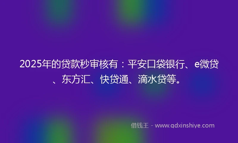 2025年的贷款秒审核有：平安口袋银行、e微贷、东方汇、快贷通、滴水贷等。