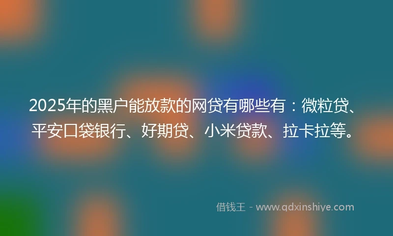 2025年的黑户能放款的网贷有哪些有：微粒贷、平安口袋银行、好期贷、小米贷款、拉卡拉等。