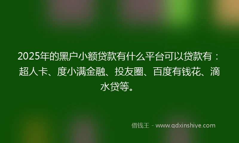 2025年的黑户小额贷款有什么平台可以贷款有：超人卡、度小满金融、投友圈、百度有钱花、滴水贷等。