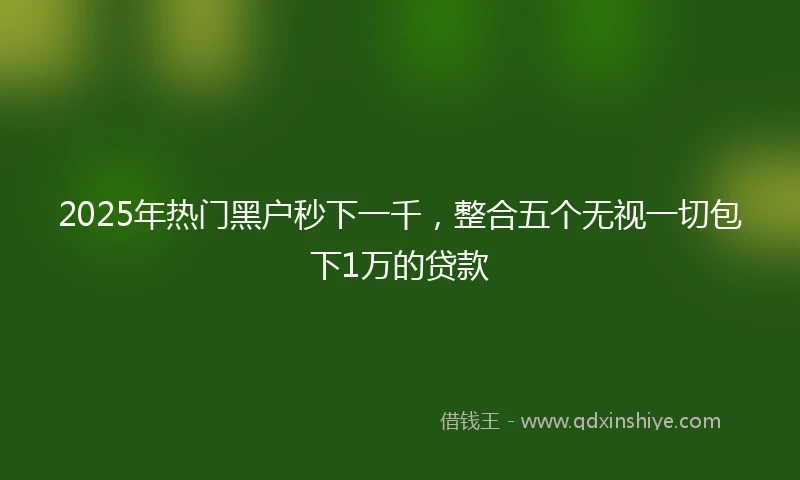 2025年热门黑户秒下一千，整合五个无视一切包下1万的贷款