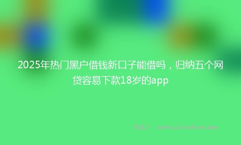 2025年热门黑户借钱新口子能借吗，归纳五个网贷容易下款18岁的app