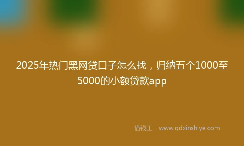 2025年热门黑网贷口子怎么找，归纳五个1000至5000的小额贷款app