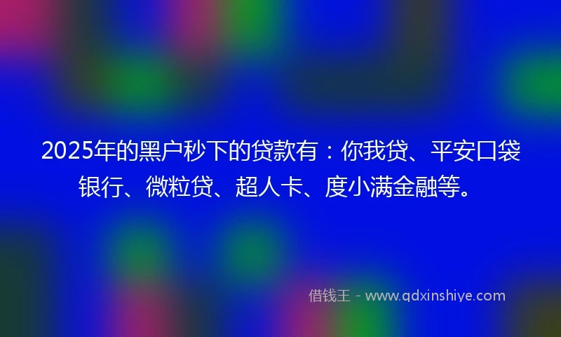 2025年的黑户秒下的贷款有：你我贷、平安口袋银行、微粒贷、超人卡、度小满金融等。