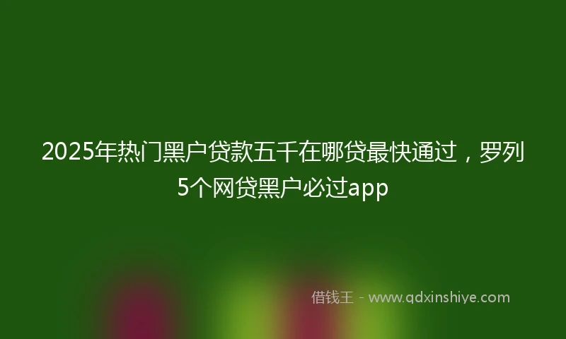 2025年热门黑户贷款五千在哪贷最快通过，罗列5个网贷黑户必过app