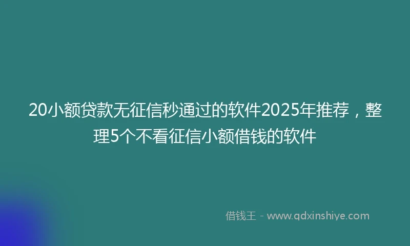 20小额贷款无征信秒通过的软件2025年推荐，整理5个不看征信小额借钱的软件
