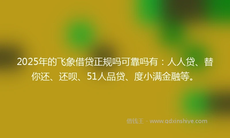 2025年的飞象借贷正规吗可靠吗有：人人贷、替你还、还呗、51人品贷、度小满金融等。