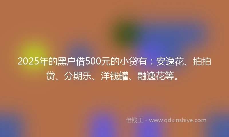 2025年的黑户借500元的小贷有：安逸花、拍拍贷、分期乐、洋钱罐、融逸花等。
