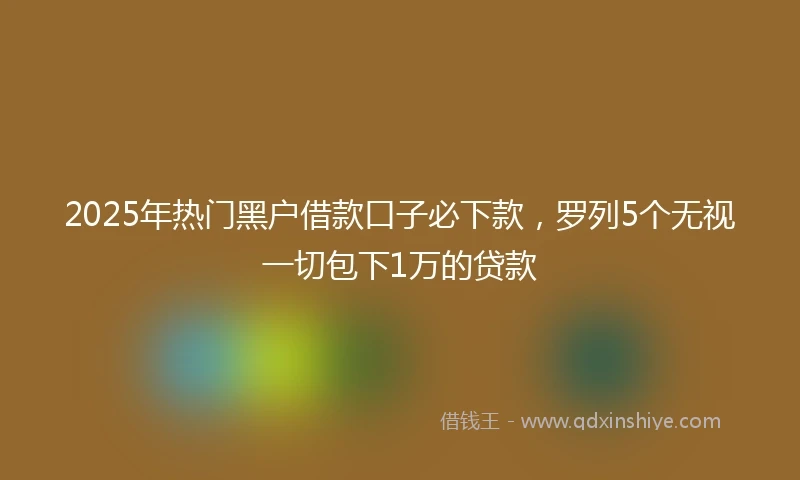 2025年热门黑户借款口子必下款，罗列5个无视一切包下1万的贷款