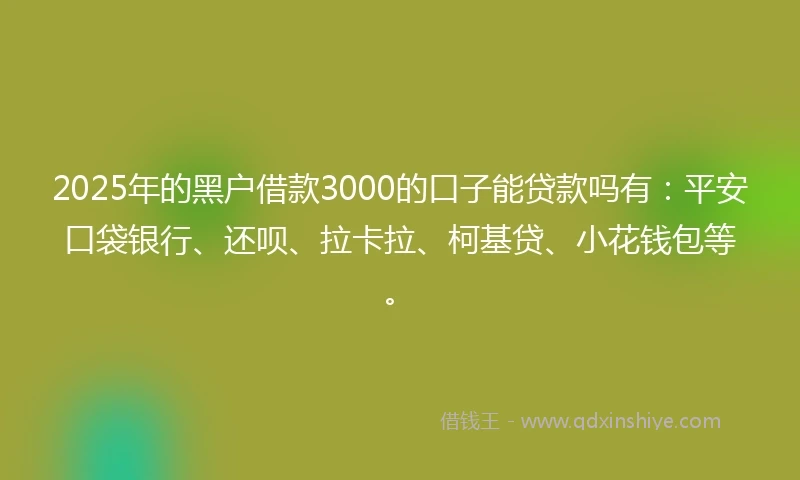 2025年的黑户借款3000的口子能贷款吗有：平安口袋银行、还呗、拉卡拉、柯基贷、小花钱包等。