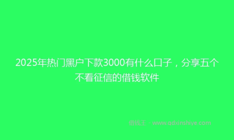2025年热门黑户下款3000有什么口子，分享五个不看征信的借钱软件