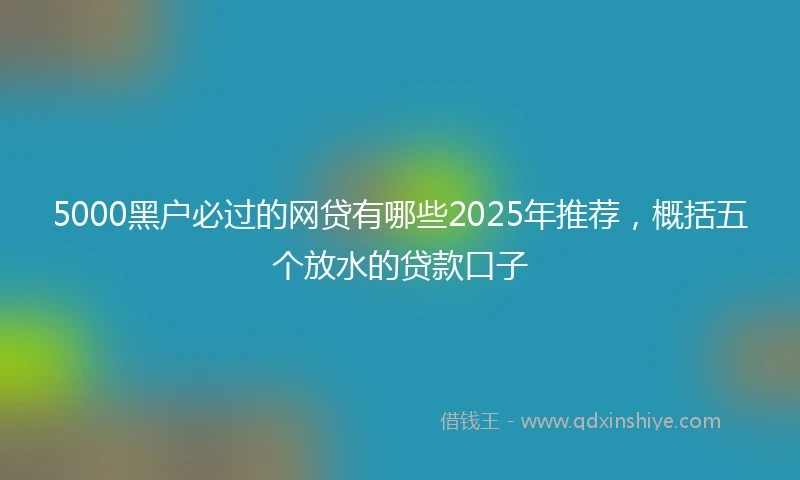 5000黑户必过的网贷有哪些2025年推荐，概括五个放水的贷款口子
