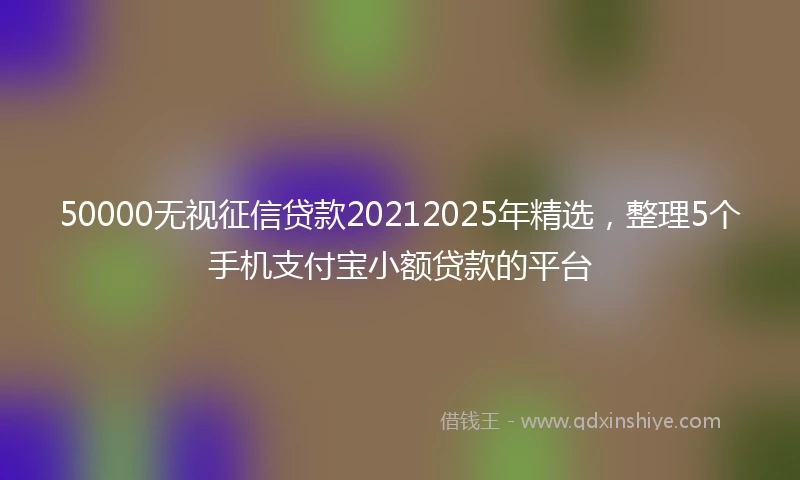 50000无视征信贷款20212025年精选，整理5个手机支付宝小额贷款的平台
