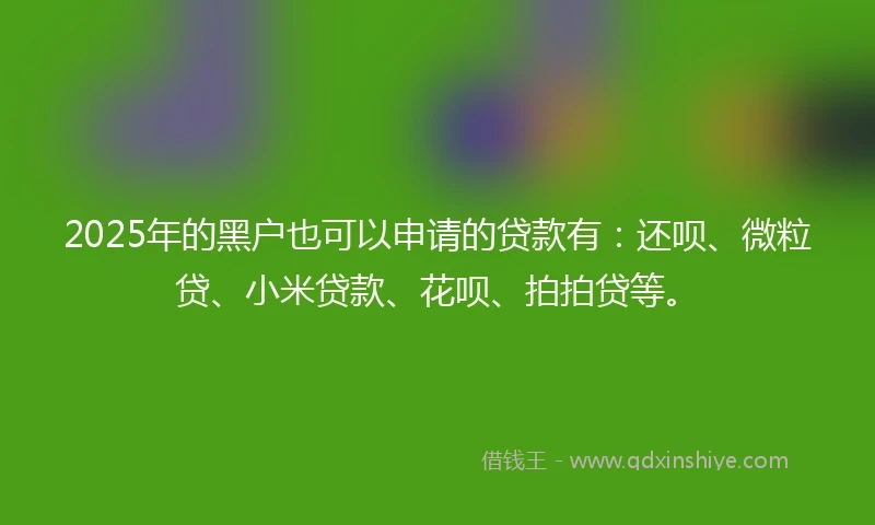 2025年的黑户也可以申请的贷款有：还呗、微粒贷、小米贷款、花呗、拍拍贷等。