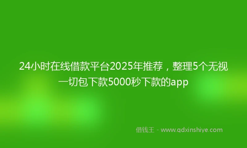 24小时在线借款平台2025年推荐，整理5个无视一切包下款5000秒下款的app