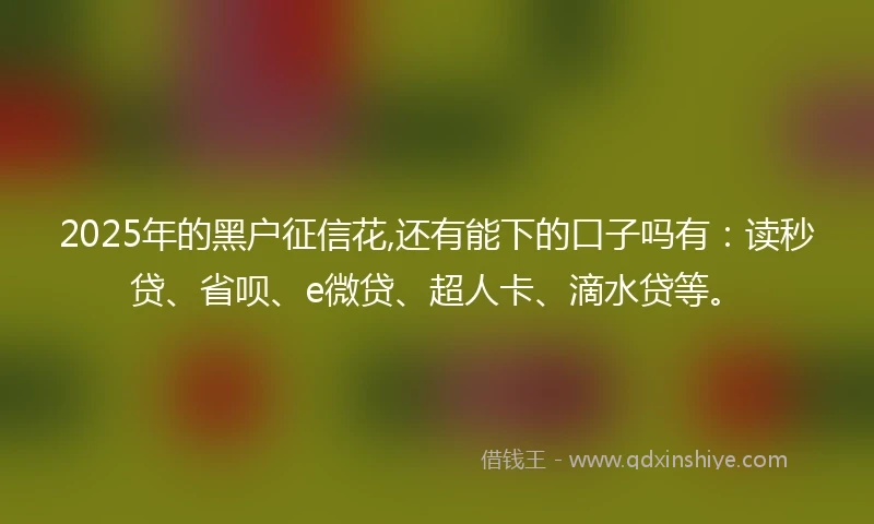 2025年的黑户征信花,还有能下的口子吗有：读秒贷、省呗、e微贷、超人卡、滴水贷等。