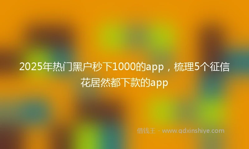 2025年热门黑户秒下1000的app，梳理5个征信花居然都下款的app