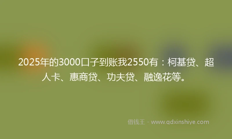 2025年的3000口子到账我2550有：柯基贷、超人卡、惠商贷、功夫贷、融逸花等。