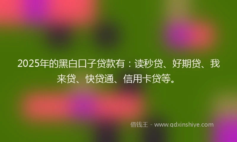 2025年的黑白口子贷款有：读秒贷、好期贷、我来贷、快贷通、信用卡贷等。